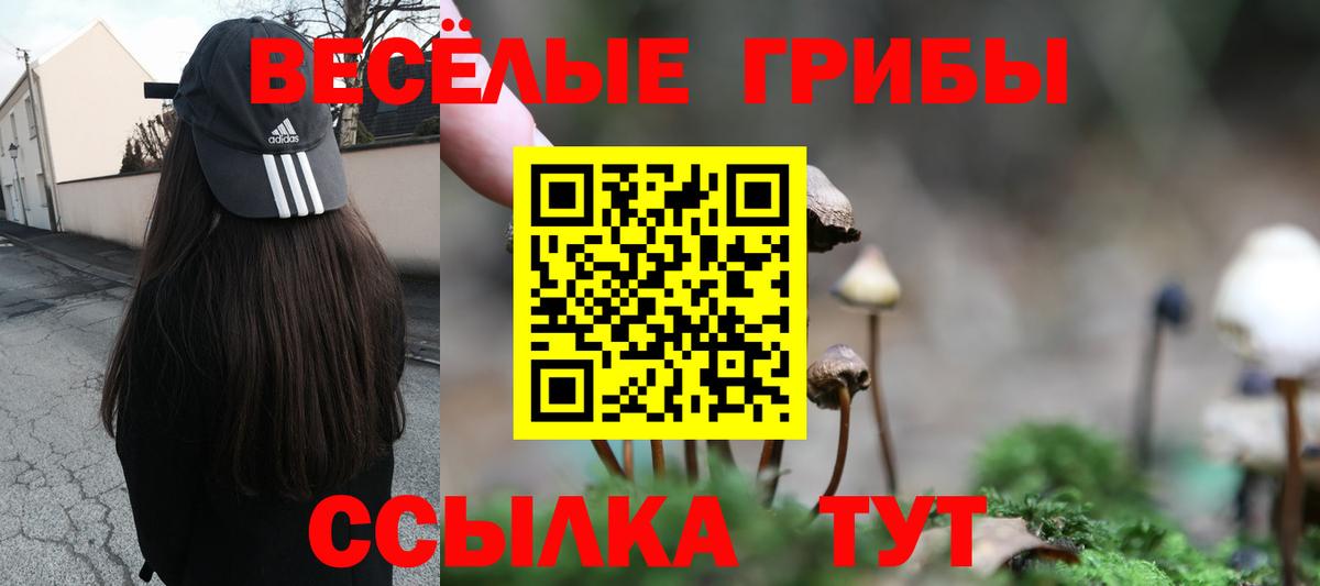 Златоуст  Галлюциногенные грибы Psilocybine cubensis  Вход с VPN 